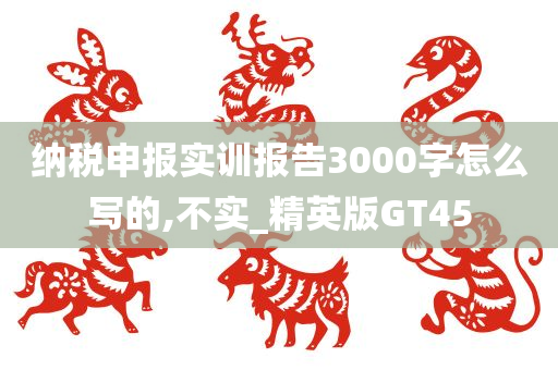 纳税申报实训报告3000字怎么写的,不实_精英版GT45