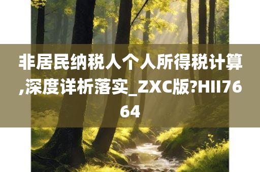 非居民纳税人个人所得税计算,深度详析落实_ZXC版?HII7664