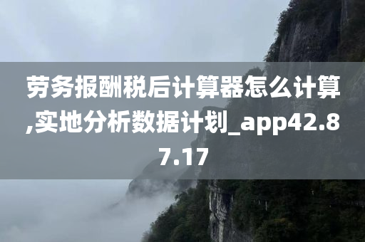 劳务报酬税后计算器怎么计算,实地分析数据计划_app42.87.17