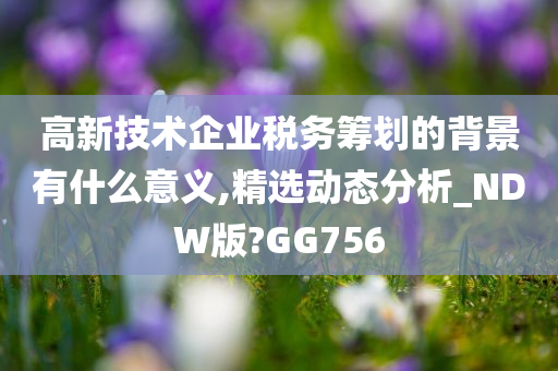 高新技术企业税务筹划的背景有什么意义,精选动态分析_NDW版?GG756