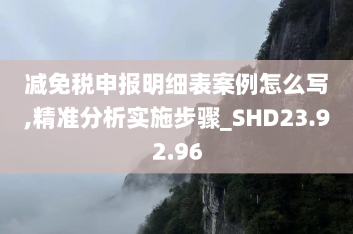 减免税申报明细表案例怎么写,精准分析实施步骤_SHD23.92.96