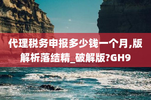 代理税务申报多少钱一个月,版解析落结精_破解版?GH9