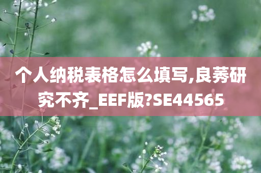 个人纳税表格怎么填写,良莠研究不齐_EEF版?SE44565