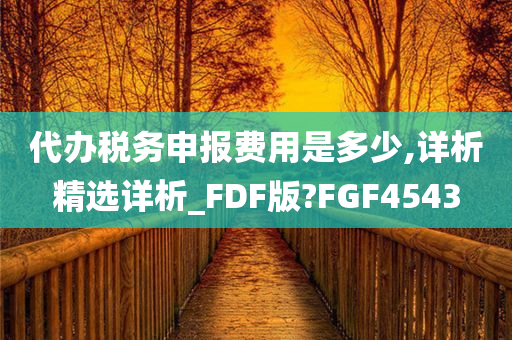 代办税务申报费用是多少,详析精选详析_FDF版?FGF4543